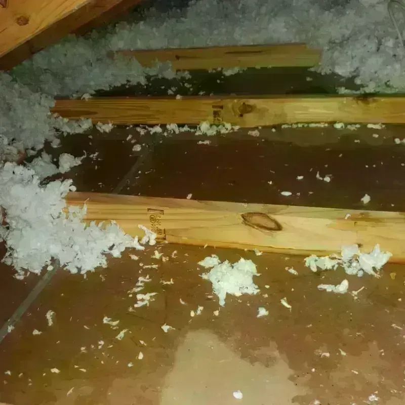 Attic Water Damage in Haskell, OK