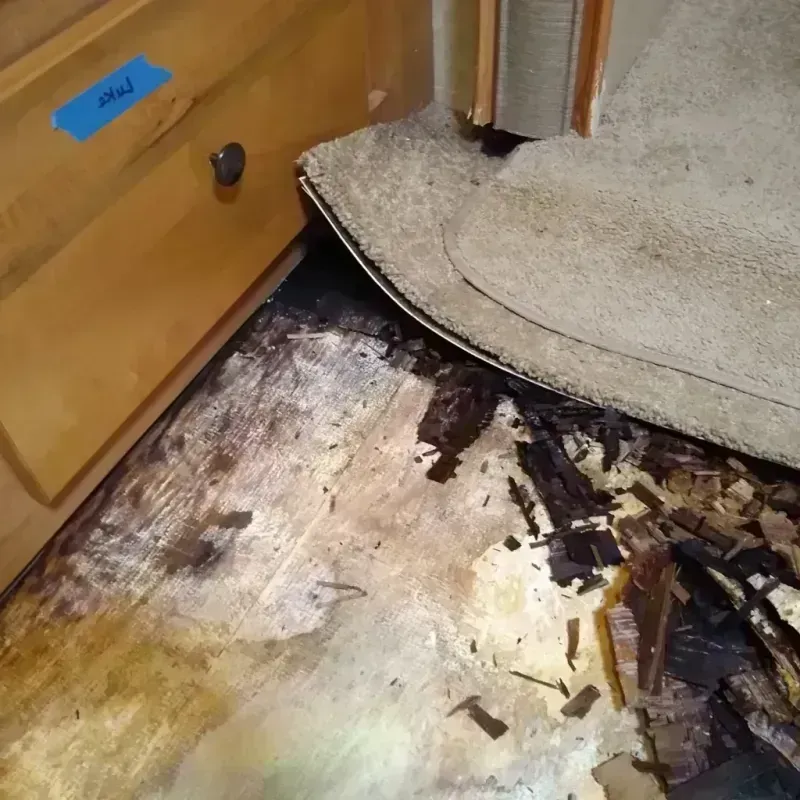 Best Wood Floor Water Damage Service in Haskell, OK